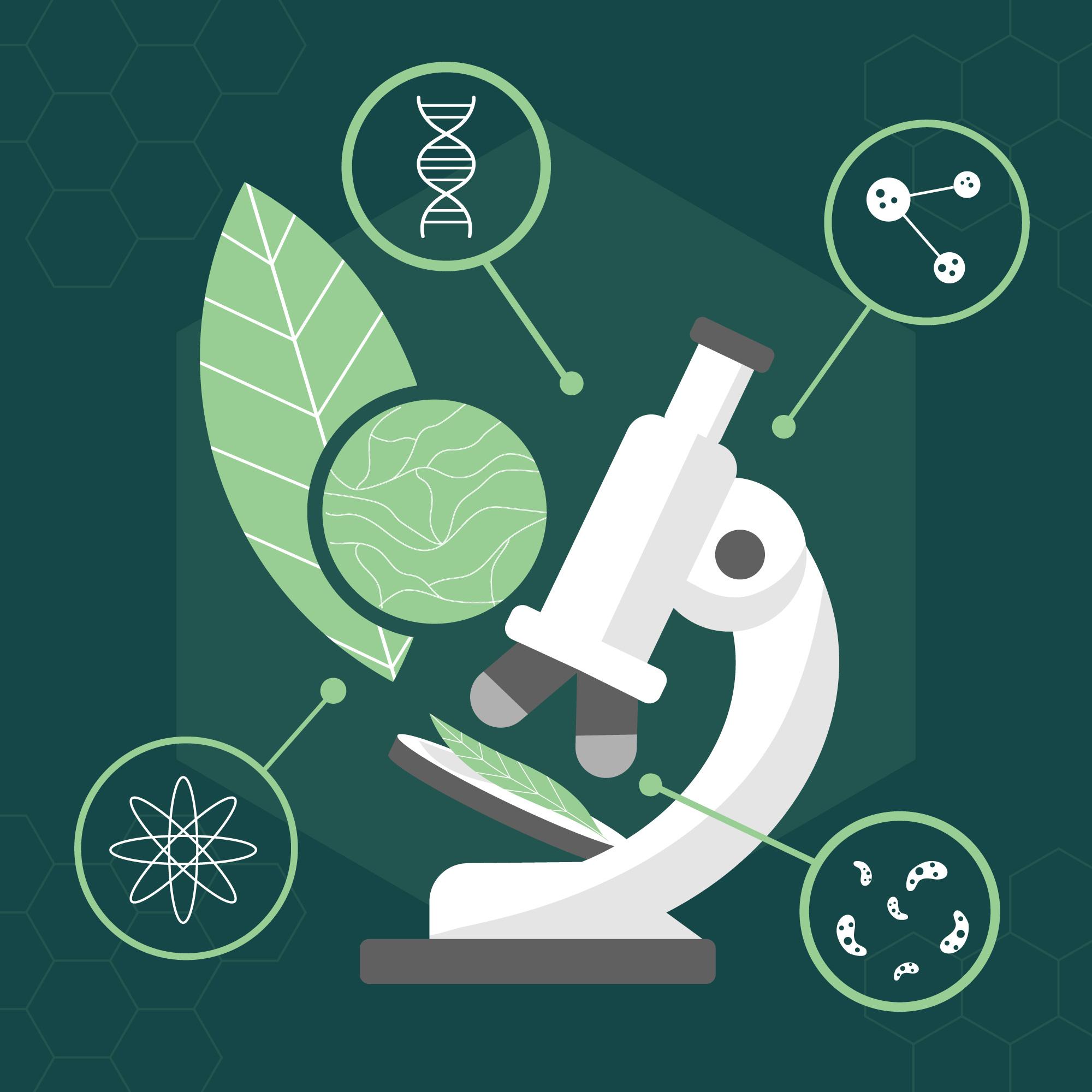 Icon for Curated Global Trade Data